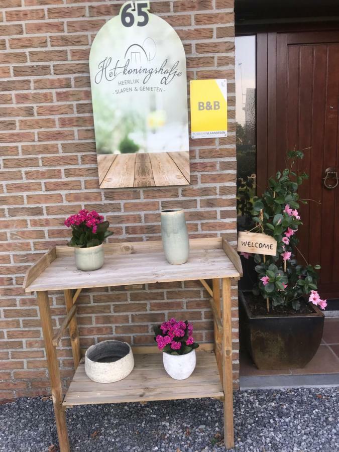 Het Koningshofje Bed & Breakfast NeerNeerpelt Екстериор снимка